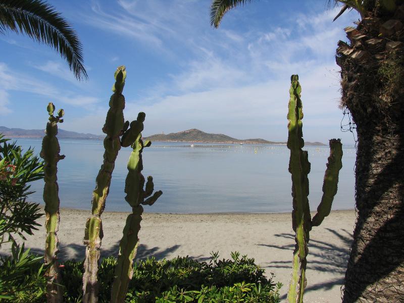 Apartamentos Tesy La Manga del Mar Menor Dış mekan fotoğraf