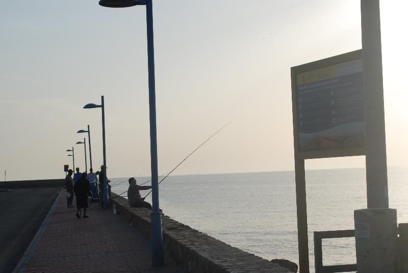 Apartamentos Tesy La Manga del Mar Menor Dış mekan fotoğraf